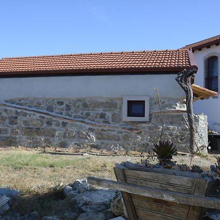 Casa Da Lima - Nestled In Nature On Santiago'S And Fatima'S Path, Close To Coimbra And Rabacal Alvorge Экстерьер фото