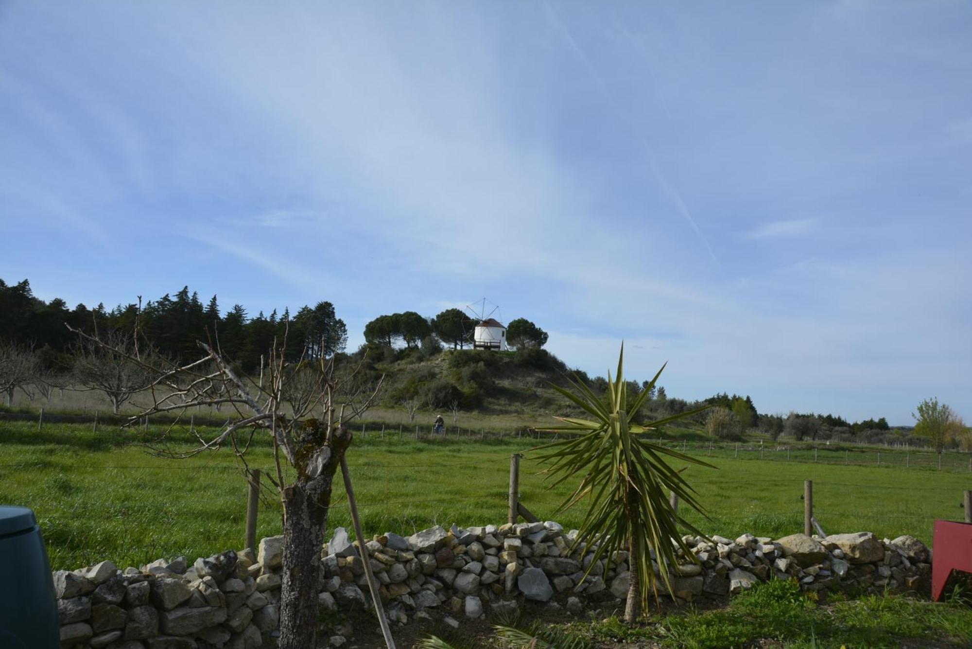 Casa Da Lima - Nestled In Nature On Santiago'S And Fatima'S Path, Close To Coimbra And Rabacal Alvorge Экстерьер фото