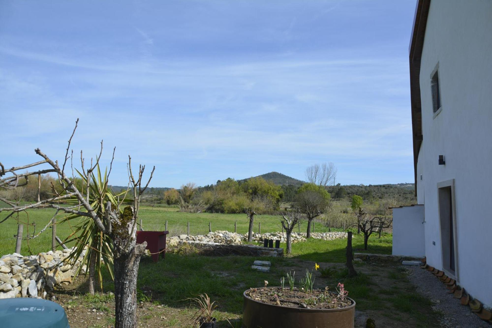 Casa Da Lima - Nestled In Nature On Santiago'S And Fatima'S Path, Close To Coimbra And Rabacal Alvorge Экстерьер фото