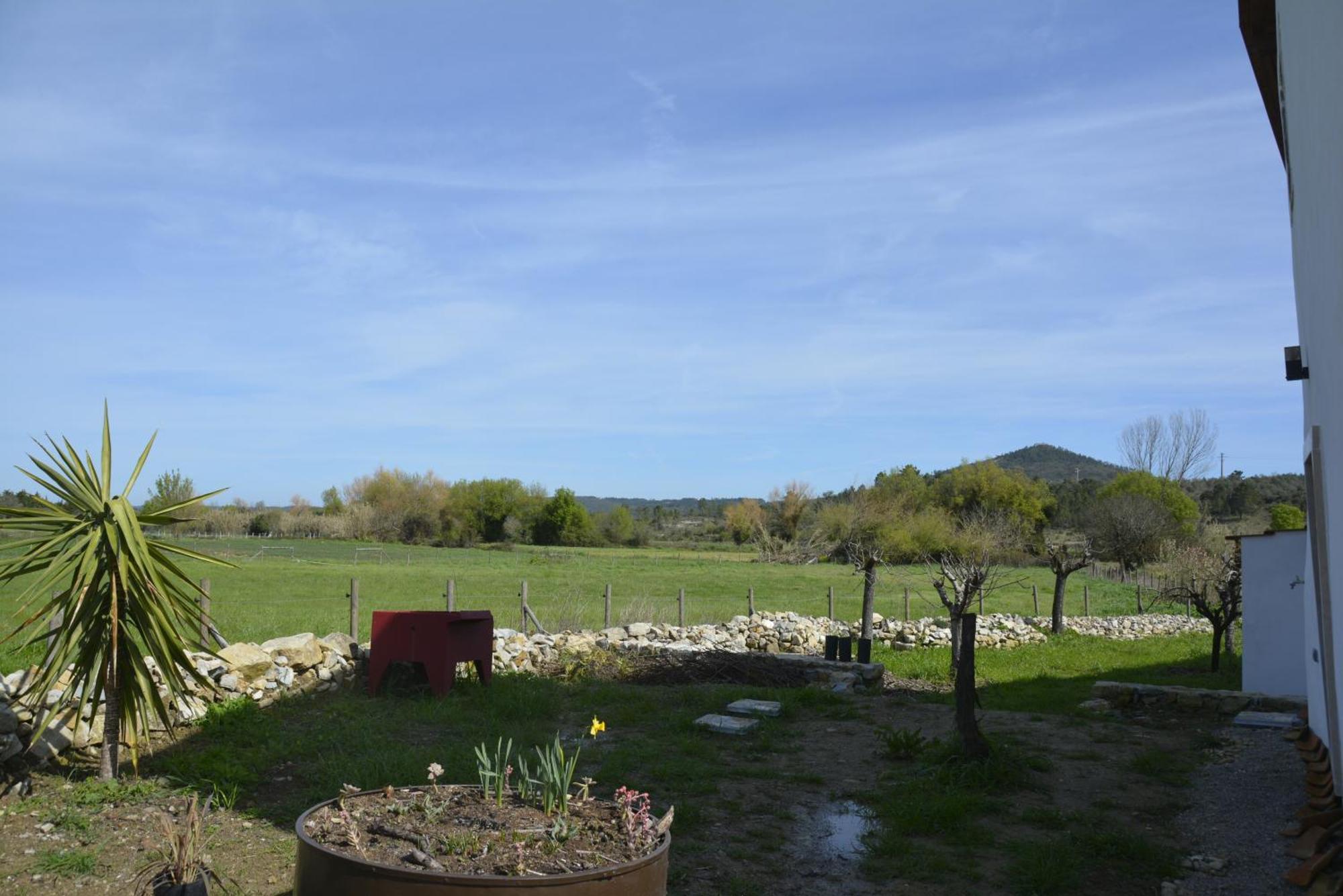 Casa Da Lima - Nestled In Nature On Santiago'S And Fatima'S Path, Close To Coimbra And Rabacal Alvorge Экстерьер фото