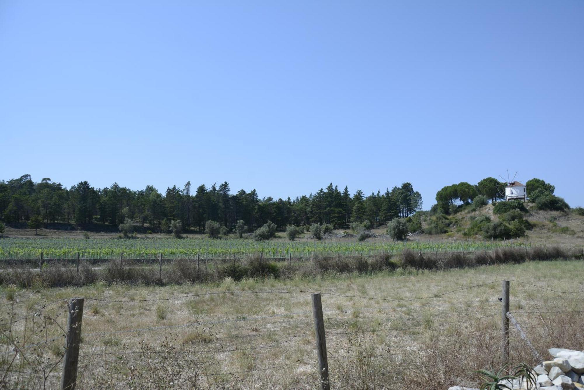 Casa Da Lima - Nestled In Nature On Santiago'S And Fatima'S Path, Close To Coimbra And Rabacal Alvorge Экстерьер фото