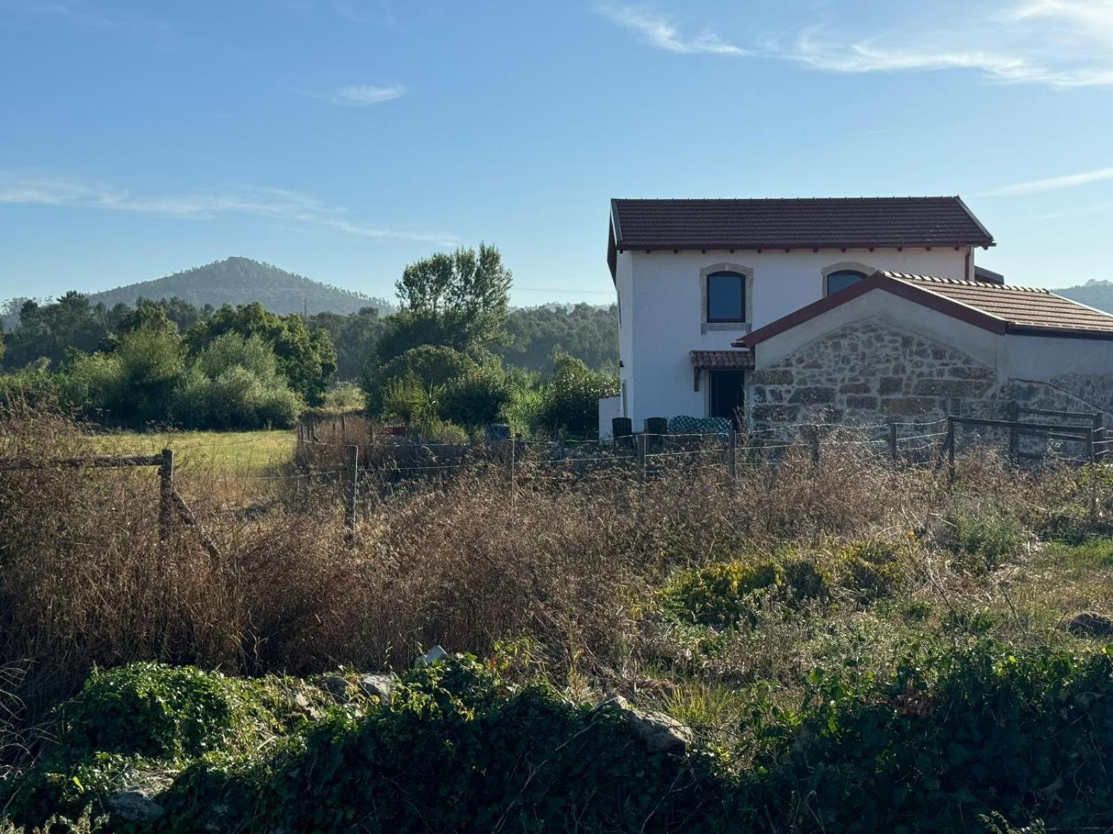 Casa Da Lima - Nestled In Nature On Santiago'S And Fatima'S Path, Close To Coimbra And Rabacal Alvorge Экстерьер фото
