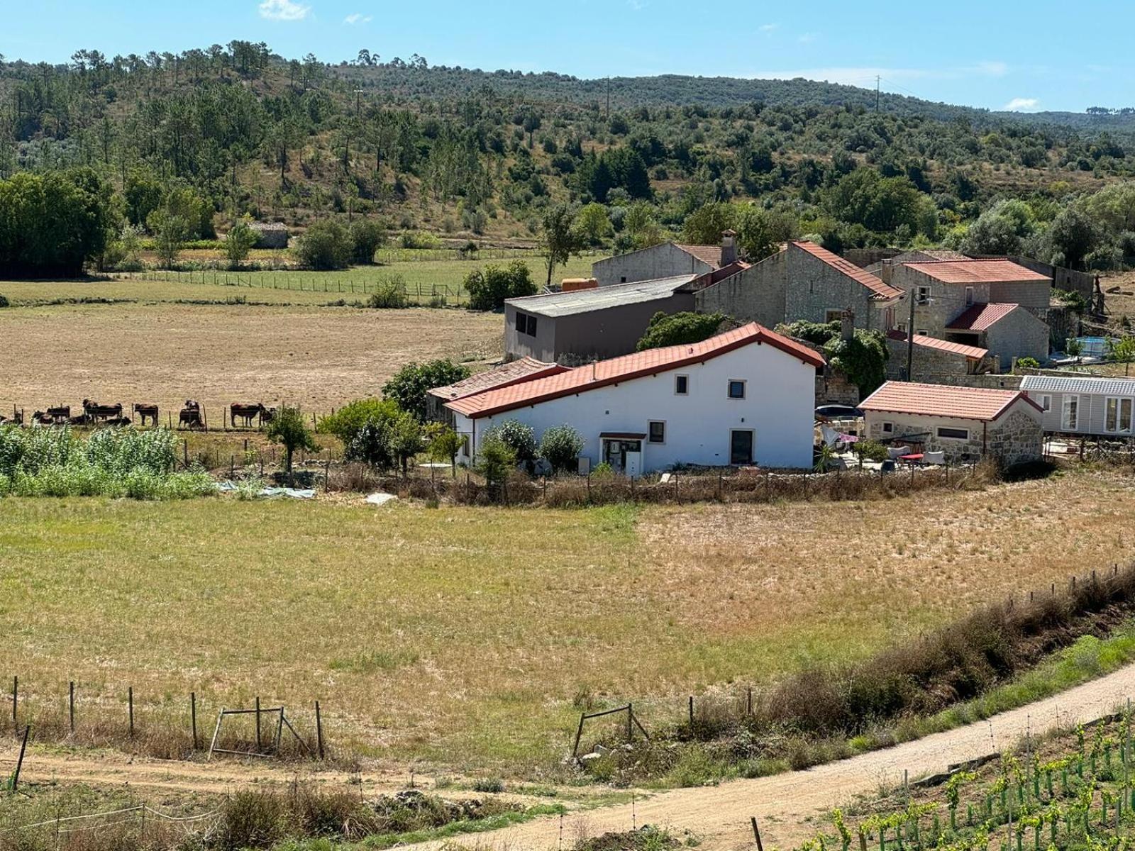 Casa Da Lima - Nestled In Nature On Santiago'S And Fatima'S Path, Close To Coimbra And Rabacal Alvorge Экстерьер фото