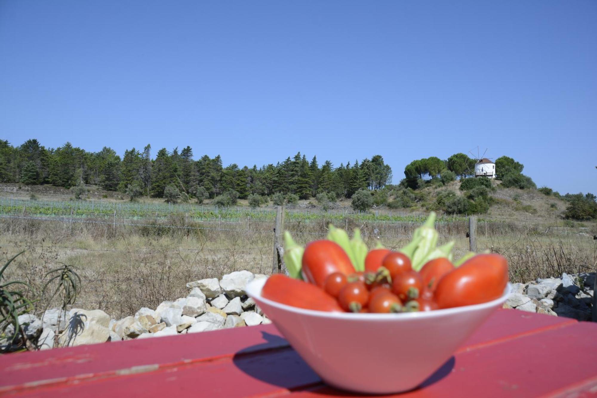 Casa Da Lima - Nestled In Nature On Santiago'S And Fatima'S Path, Close To Coimbra And Rabacal Alvorge Экстерьер фото